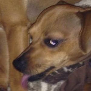 Meet your Posher, Karen